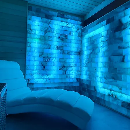 Hotel Nash Airport Meyrin
