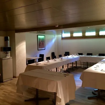Hotel Nash Airport Meyrin